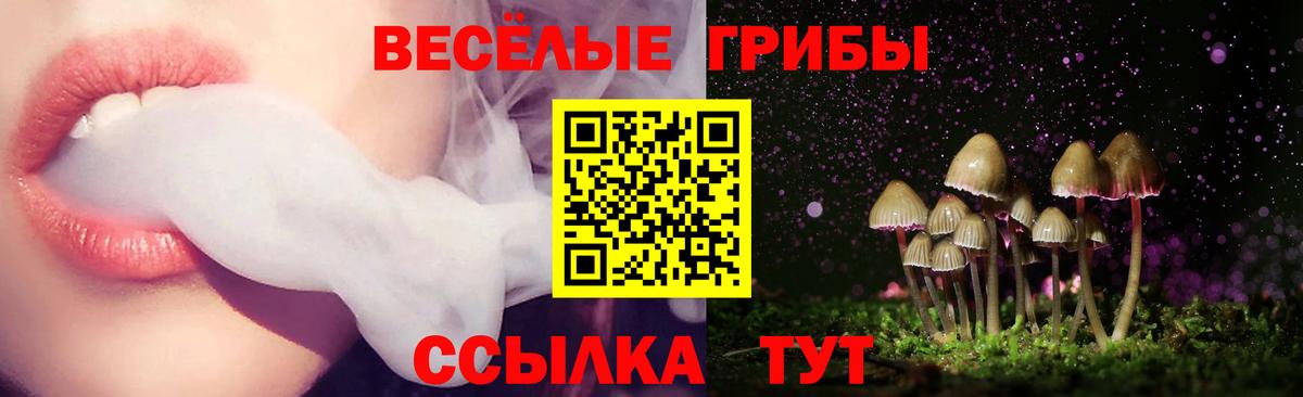 Псилоцибиновые грибы мицелий  Псилоцибиновые грибы Cubensis  Кыштым  Вход с VPN 